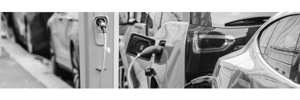 Modi Privat / Geschäftsfahrt